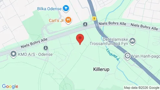 Lejligheder til leje i Odense M - kort over placeringen