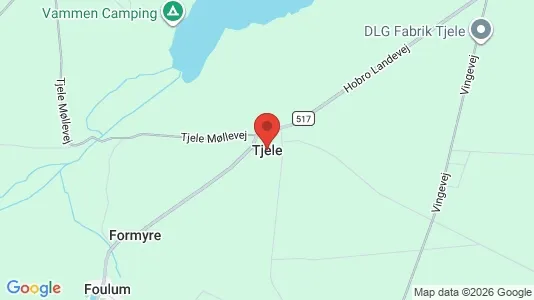 Huse til salg i Tjele - kort over placeringen