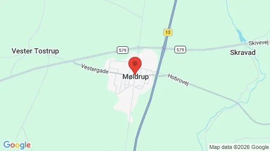Huse til salg i Møldrup - kort over placeringen
