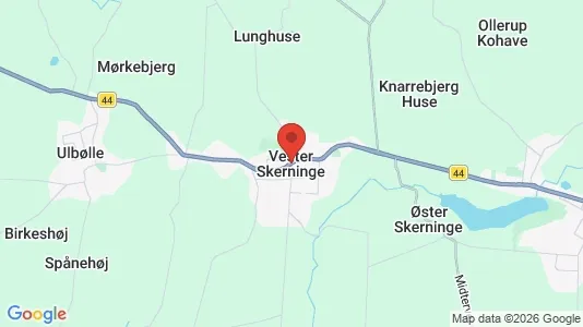 Huse til salg i Vester Skerninge - kort over placeringen