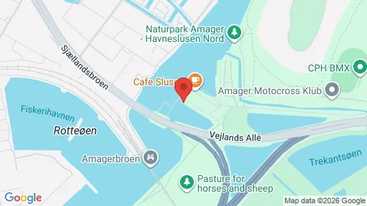 Lejligheder til salg i København S - kort over placeringen