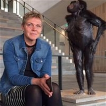 Jeg søger: Lejlighed, Villa, Rækkehus til leje i Vildbjerg, Silkeborg