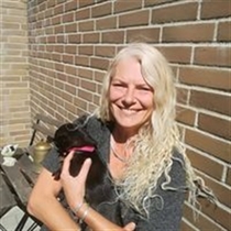 Jeg søger: Lejlighed, Villa, Rækkehus til leje i Greve, Solrød Strand, Karlslunde m.fl.