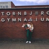 Jeg søger: Andelsbolig til salg i Odense C, Odense SØ, Odense M m.fl.
