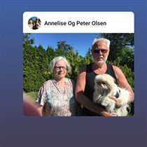 Jeg søger: Lejlighed til leje i Roskilde, Borup, Køge m.fl.