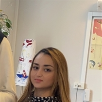 Jeg søger: Værelse/Studiebolig til leje i Horsens