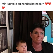 Jeg søger: Villa, Rækkehus til leje i Hillerød