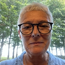 Jeg søger: Rækkehus til leje i Vejle Øst