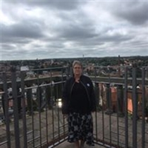 Jeg søger: Rækkehus til leje i Hedensted