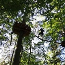 Jeg søger: Værelse/Studiebolig til leje i Rønne, Aakirkeby