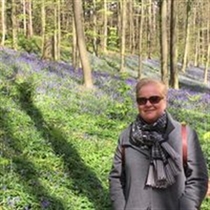 Jeg søger: Andelsbolig til salg i København K, København Vesterbro, Frederiksberg C m.fl.