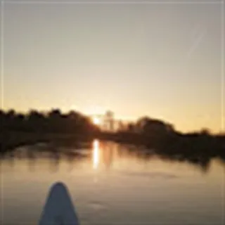 Alberthe søger 50-120 m2 lejlighed / rækkehus i Brørup til leje