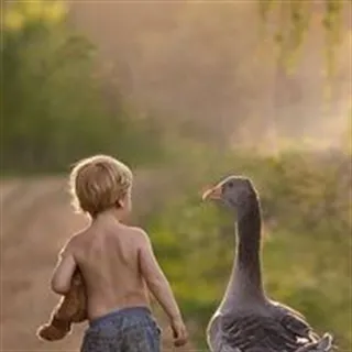 Niklas søger 60-72 m2 lejlighed i København K, Vesterbro, Østerbro, Nørrebro til leje