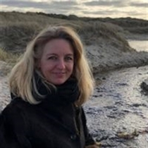 Jeg søger: Lejlighed, Villa, Rækkehus til leje i Århus C
