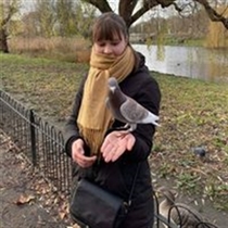Jeg søger: Værelse/Studiebolig til leje i København K, København Vesterbro, Frederiksberg C m.fl.