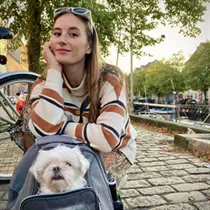 Jeg søger: lejlighed eller værelse til leje i København K, Vesterbro eller Frederiksberg C m.fl. 