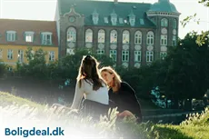 Ny i Danmark