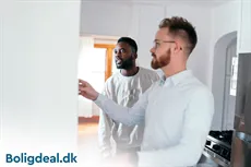 Fremvisning